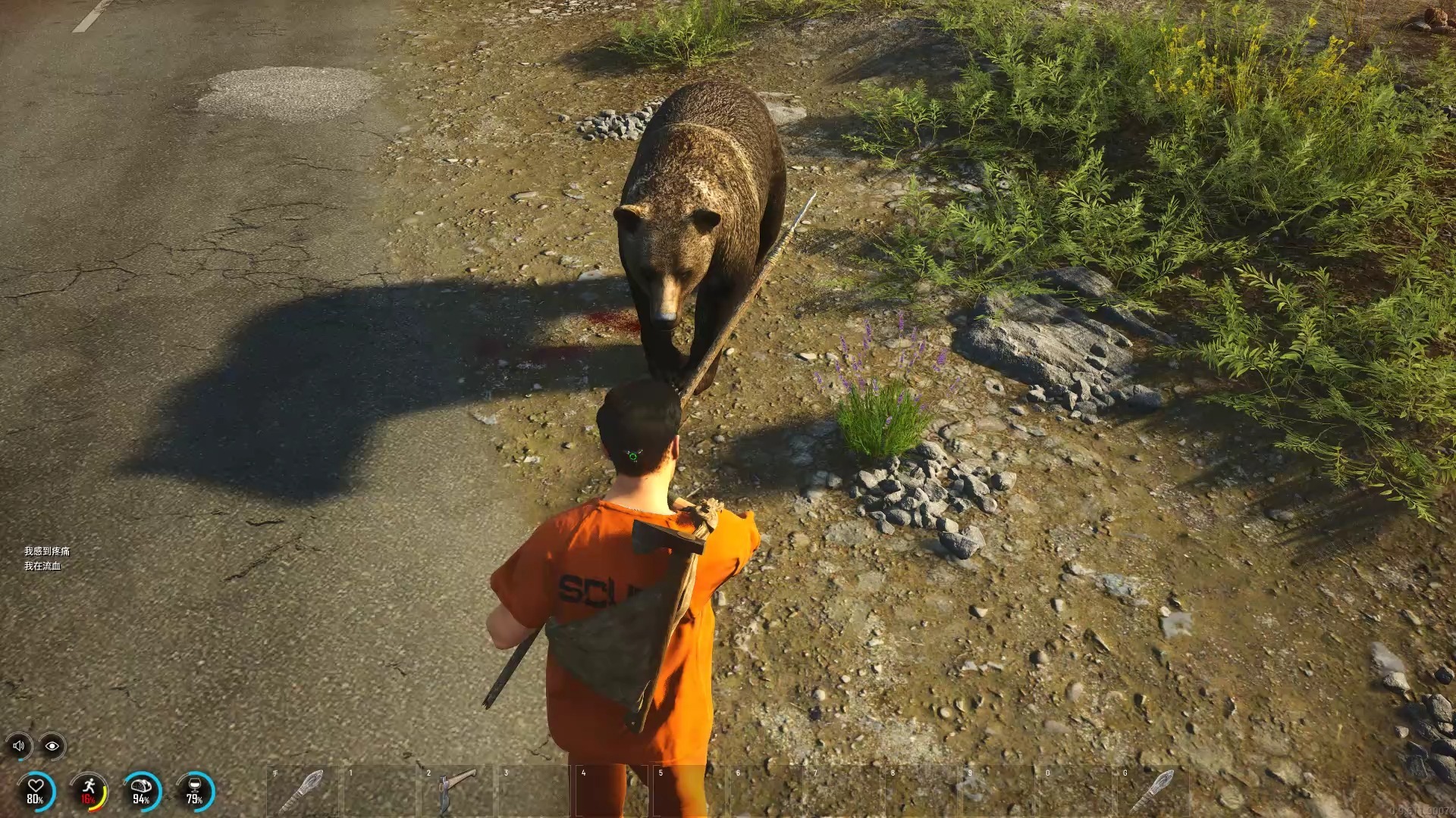 探索开放世界 5